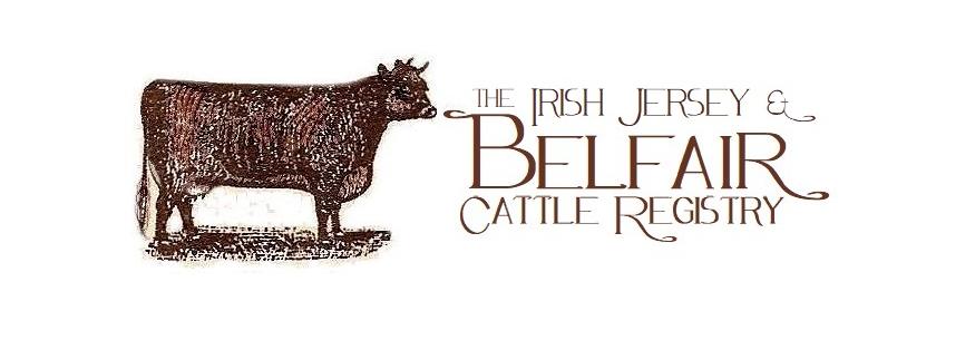 Home for the Belfair Cattle Registry