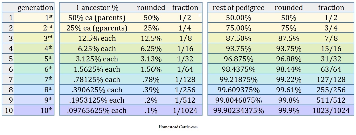 fraction / percentage generation chart